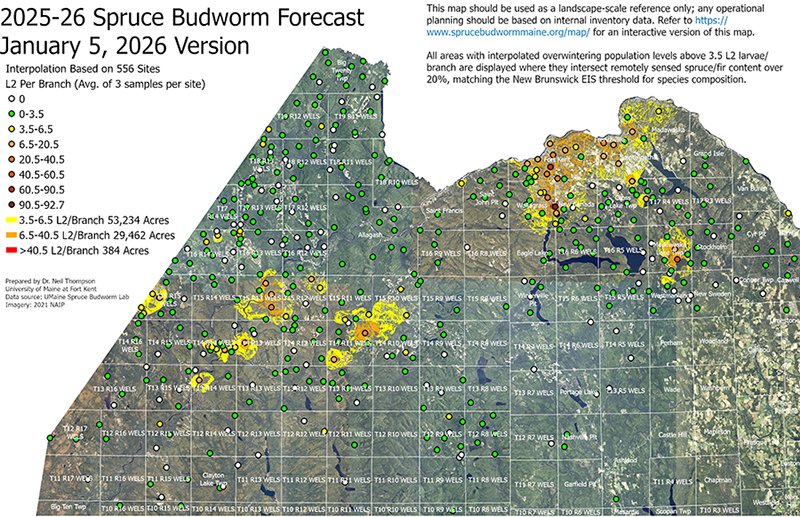 A map displaying the 2025-2026 forecast of spruce budworm populations for the basis of the 2026 Early Intervention Strategy.